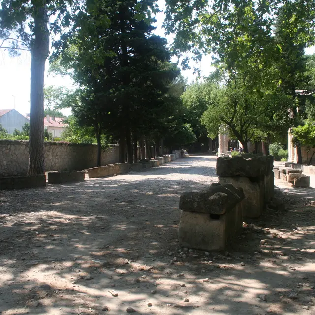 Don Juan des Alyscamps_Arles