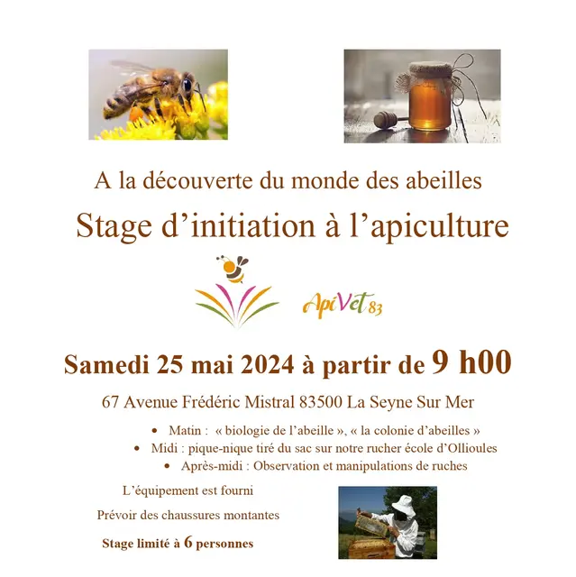 Stage apiculture