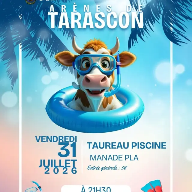 Les Taureaux Piscine du Club Taurin Lou Pétassa_Tarascon