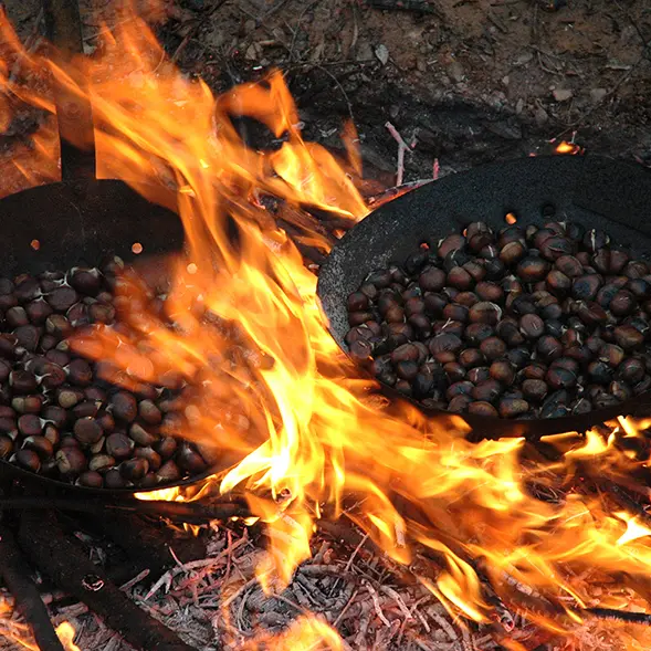 soirée Castagnade_Saint-Sébastien-d'Aigrefeuille