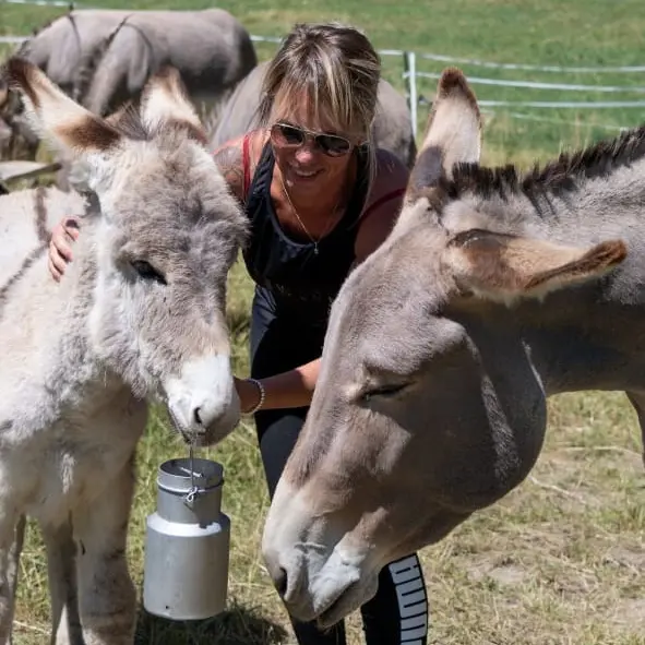Journées du patrimoine de Pays : tour et détour