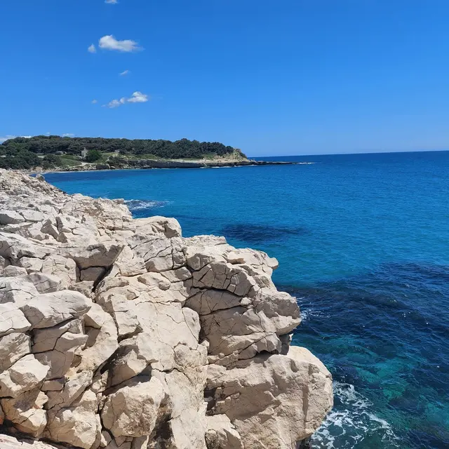 Course Martigues-Carro : La solidaire_Martigues