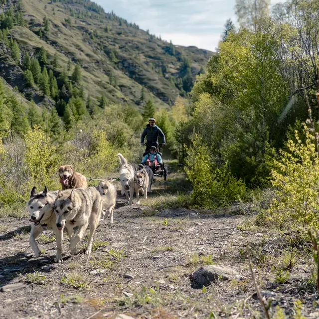 Kart à chiens, la montagne accessible pour tous_Abriès-Ristolas