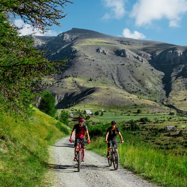 Balade des Marmottes - Vert_Valberg