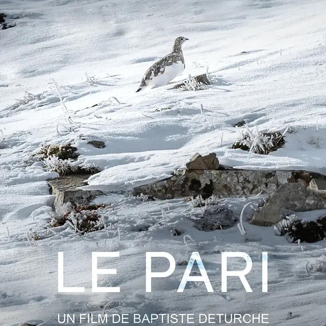 Le Pari