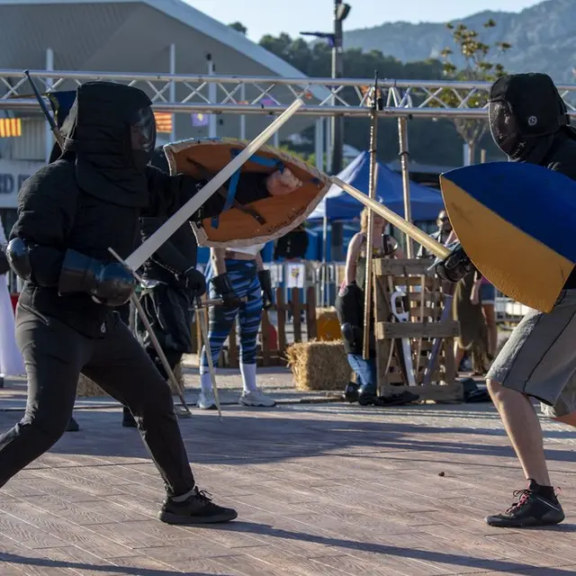 Tournoi Médiéval pour le Téléthon_Ollioules
