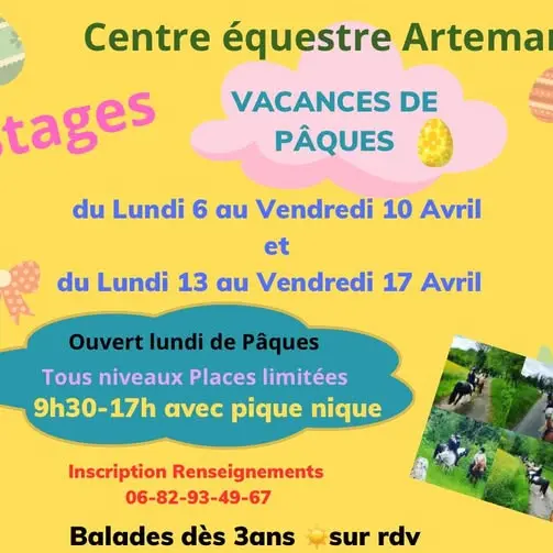 Stage d'équitation vacances de Pâques - Centre Equestre d'Artemare_Artemare