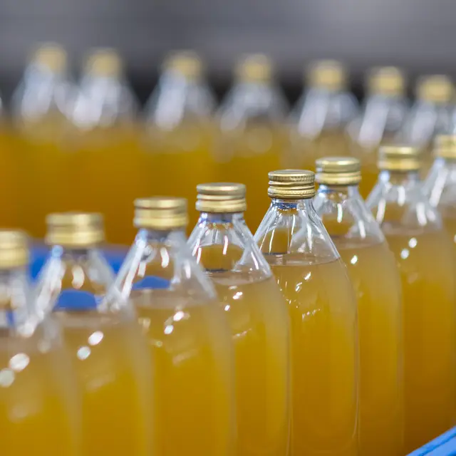 Visite de l'entreprise Thomas Le Prince_Vallières-sur-Fier