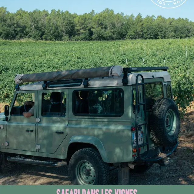 Safari dans les Vignes_Flayosc