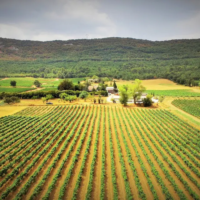 Domaine de la Mongestine - Artigues