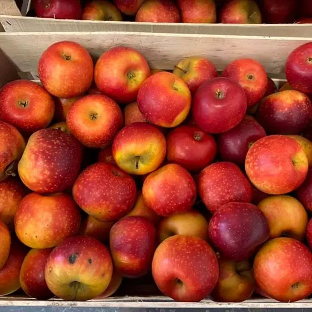 earl villemur pommes