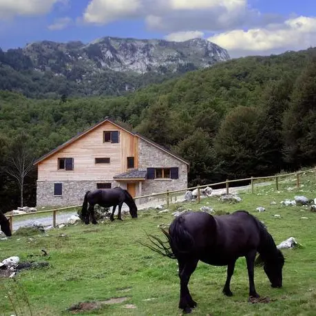 Gîte forestier de Terre d'Avenir_Val-de-Sos