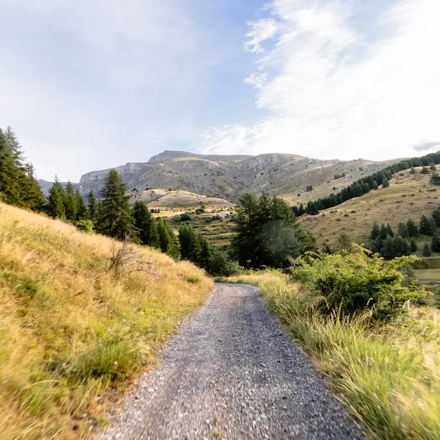 Rando PMR - Bois du Garnier_Valberg