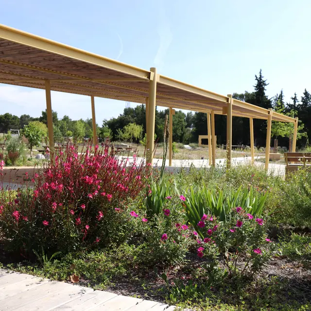 Parc de Versaille_Rognes