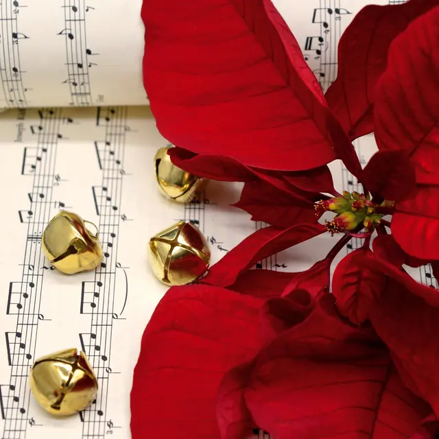 Concert de Noël à l'église de Châtelaillon-Plage_Châtelaillon-Plage