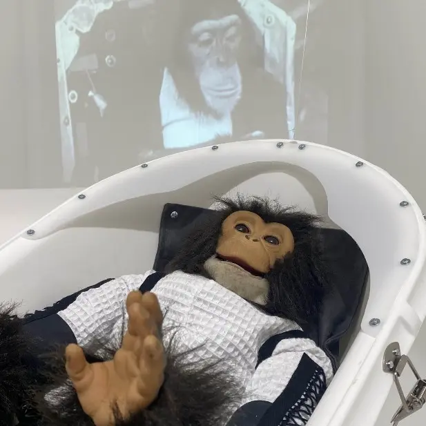 Voix animales, aux origines de la conquête spatiale_Marseille