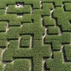 Popcorn labyrinthe