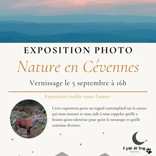 Exposition à l'Auberge du Mas de la Barque_Vialas