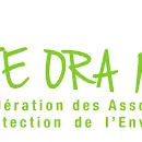 FAPE - Te Ora Naho_Papeete