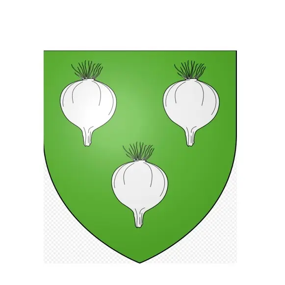 Blason de St Jean de Valériscle_Saint-Jean-de-Valériscle