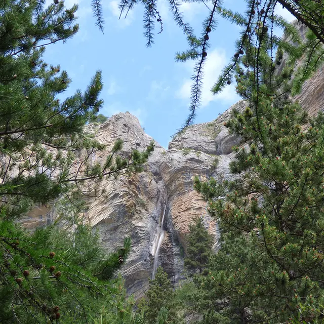 Vue de la cascade du Pich, située dans une crevasse rocheuse à côté d'une forêt de conifères