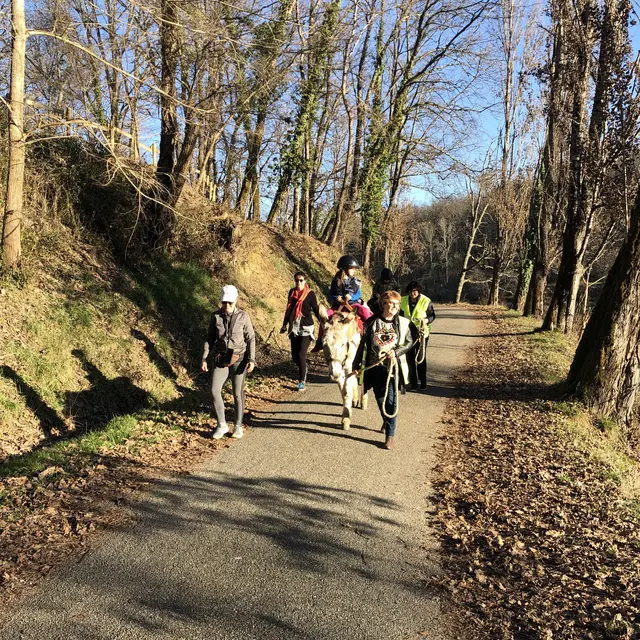 Balade aux couleurs de l'hiver_Lafrançaise