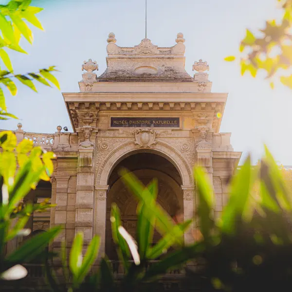 Muséum d'Histoire Naturelle de Marseille (MHNM)_Marseille