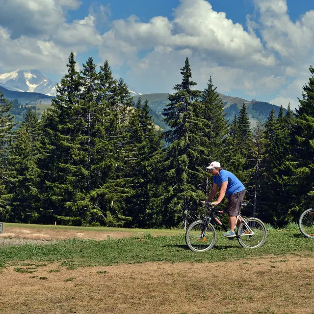 VTT