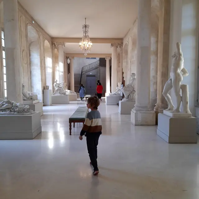 Parcours d'œuvres spoliées - Récupérer, rechercher, restituer_Avignon