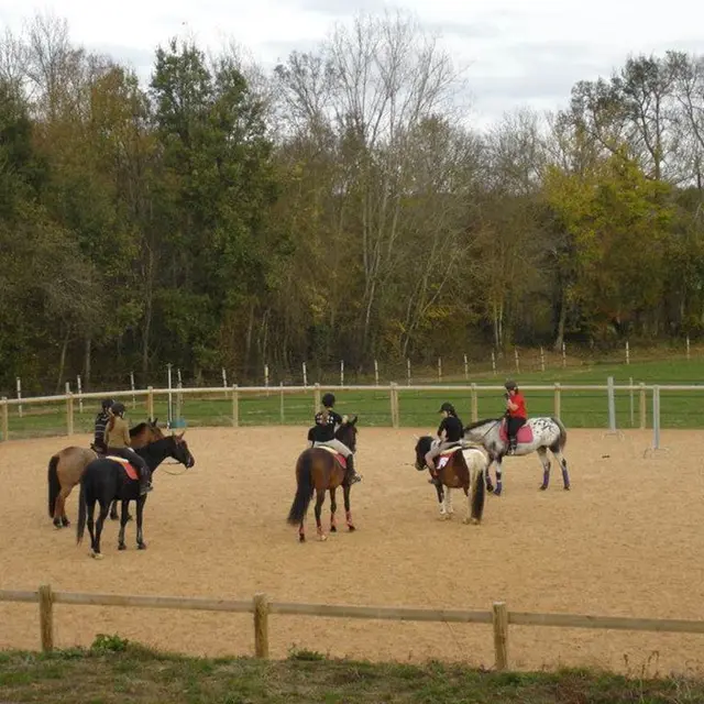 LES ÉCURIES DE SAINT ROCH