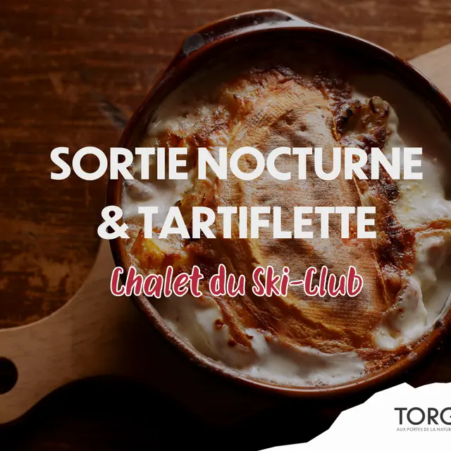 Sortie nocturne et tartiflette_Torgon
