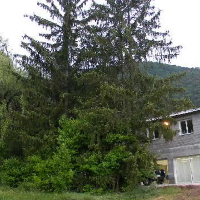 Domaine Clairefontaine