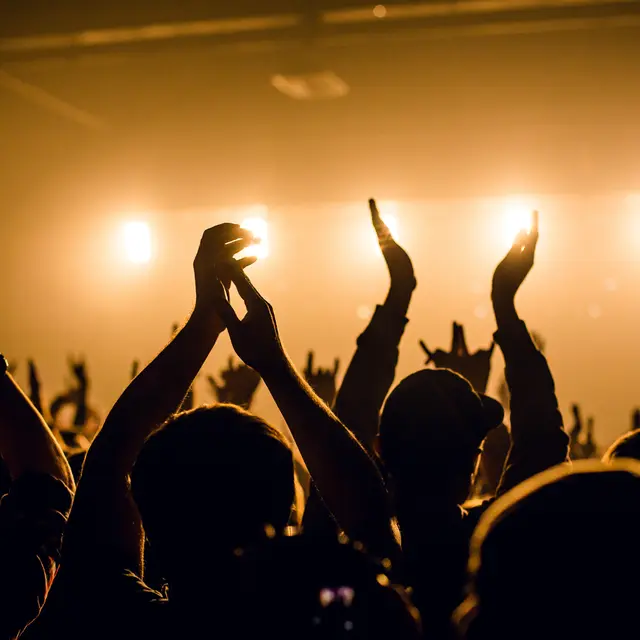 Concert du nouvel an_Veauche