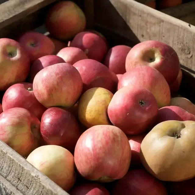 Animation nature - Fête de la pomme et du maraîchage_Saint-Denis