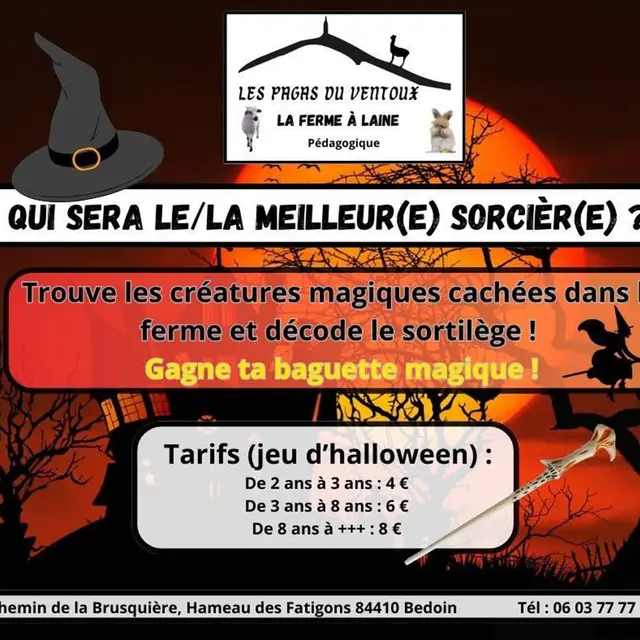 Halloween à la ferme Les Pagas du Ventoux : Qui sera le/la meilleur(e) sorcièr(e) ?