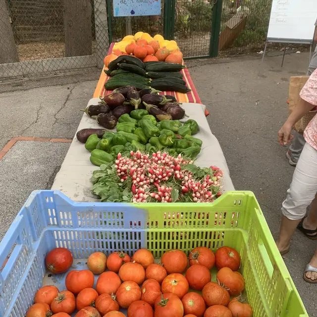 Distribution légumes octobre