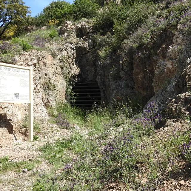 sentier