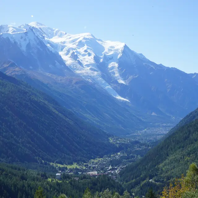 Aiguillettes-Posettes-1