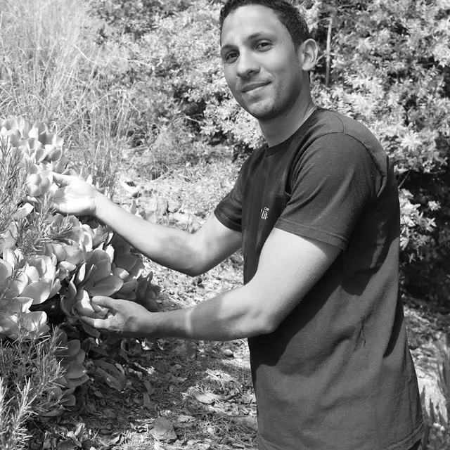 Découverte du Domaine du Rayol et du jardin des Méditerranées_Avignon