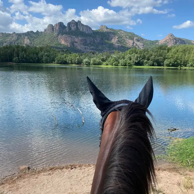La Cavale_Roquebrune-sur-Argens