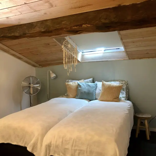 Gîte figuier