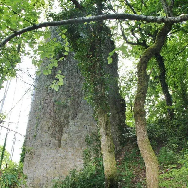 Château ruiné de Mont Didier