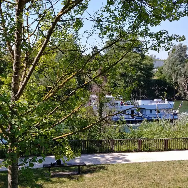 Animation nature - Balade croquis_L'Île-Saint-Denis