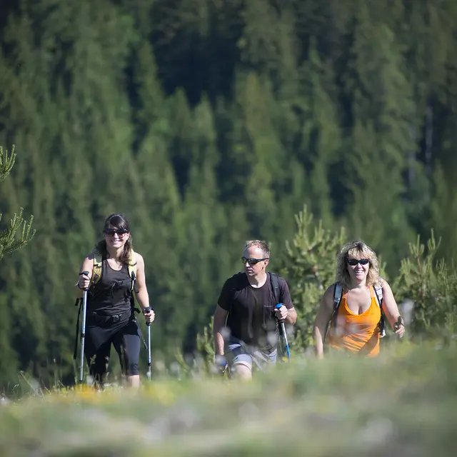 Circuit du Château_Seyne