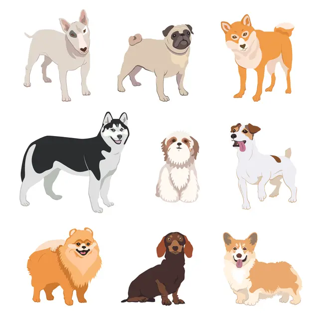 Chiens