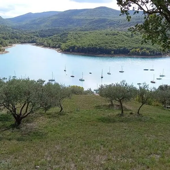 L'Oliveraie de Bauduen