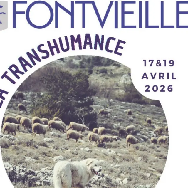 Fête de la Transhumance_Fontvieille