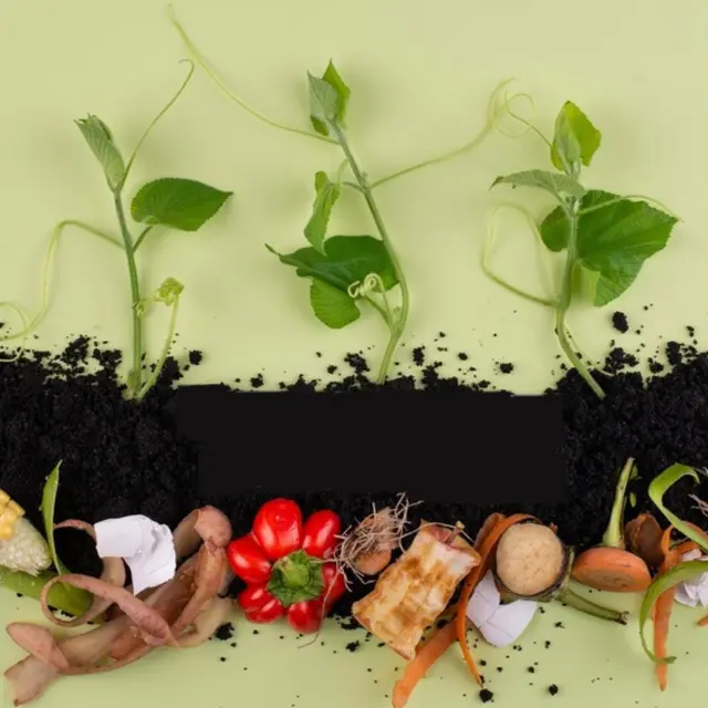 Ateliers récup : recyclage tout en couleurs_Sainte-Maxime