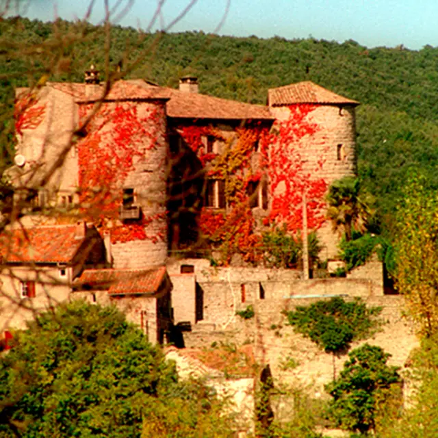 Château de la Tour