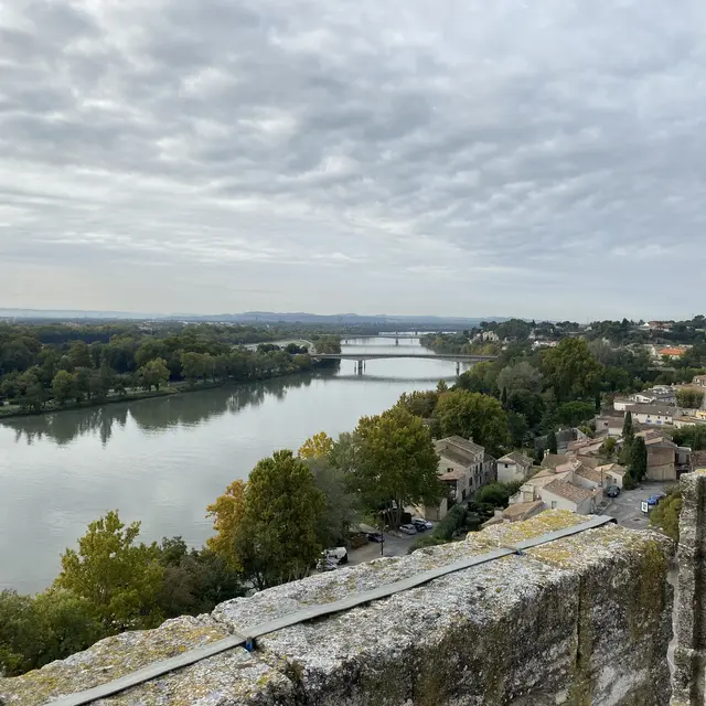 Visite guidée : l'Histoire et le Rhône - Festival «Dans les bras du Rhône»_Villeneuve-lez-Avignon